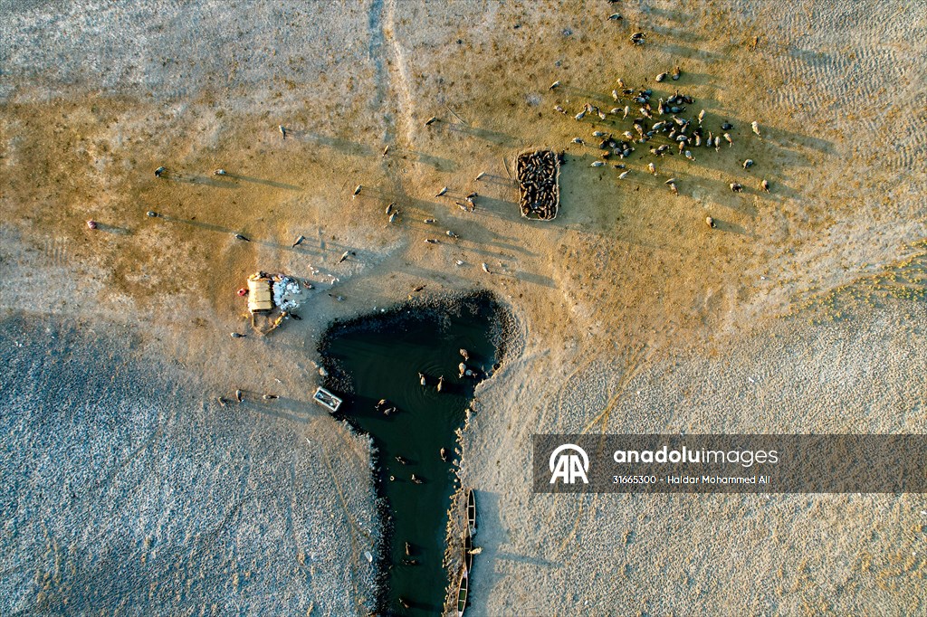 Mesopotamian Marshes under the threat of drought