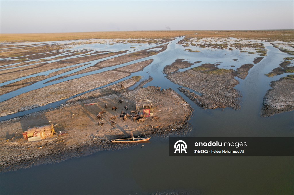 Mesopotamian Marshes under the threat of drought