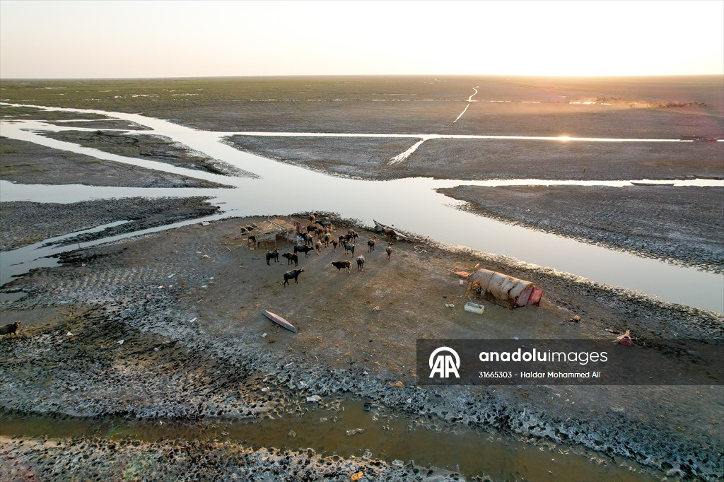 Mesopotamian Marshes under the threat of drought