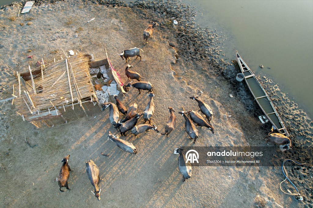 Mesopotamian Marshes under the threat of drought