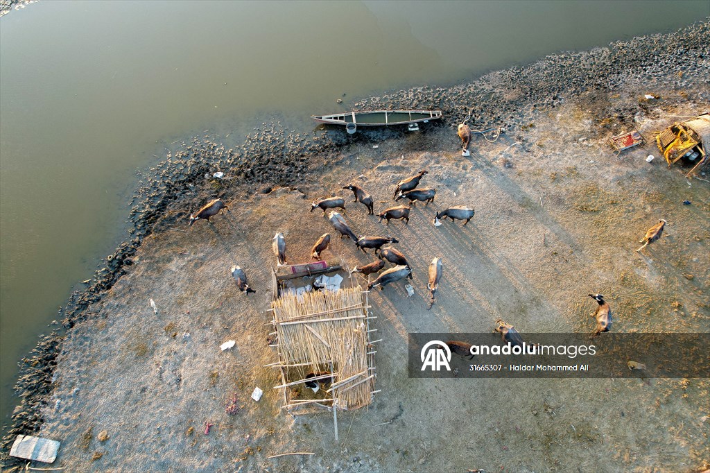 Mesopotamian Marshes under the threat of drought