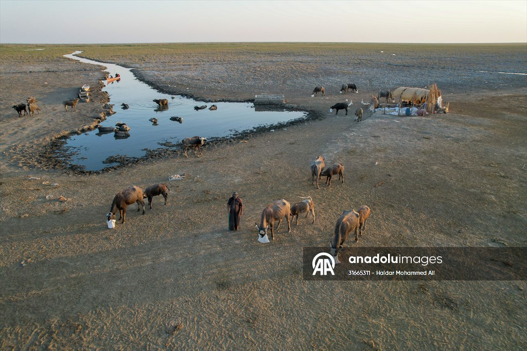 Mesopotamian Marshes under the threat of drought