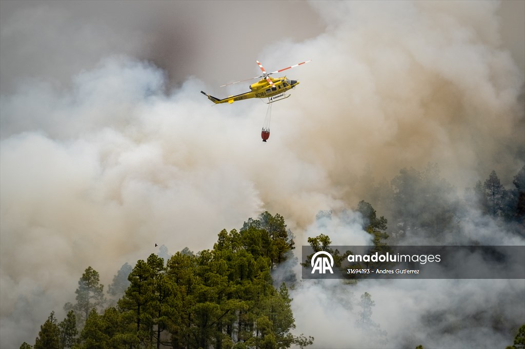 Forest fires in La Palma