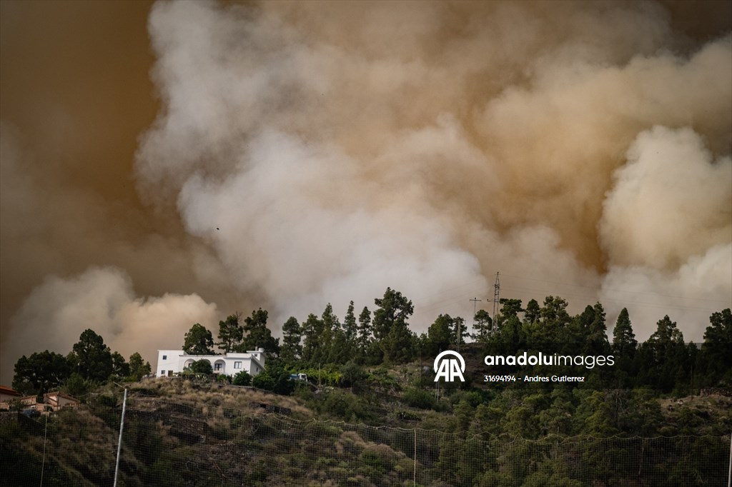 Forest fires in La Palma