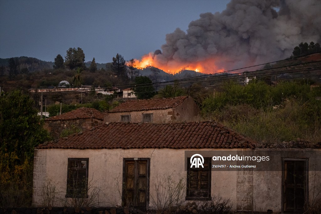 Forest fires in La Palma