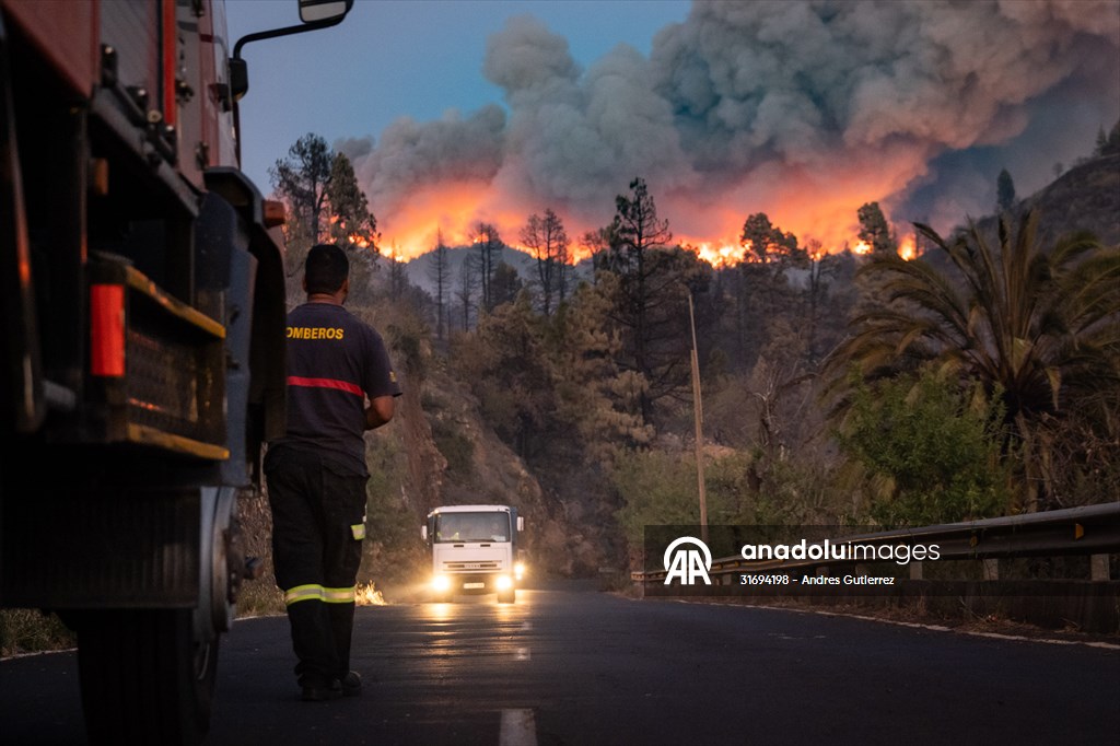 Forest fires in La Palma