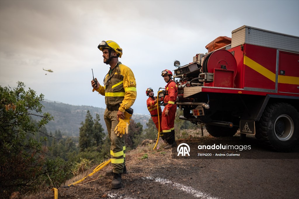 Forest fires in La Palma