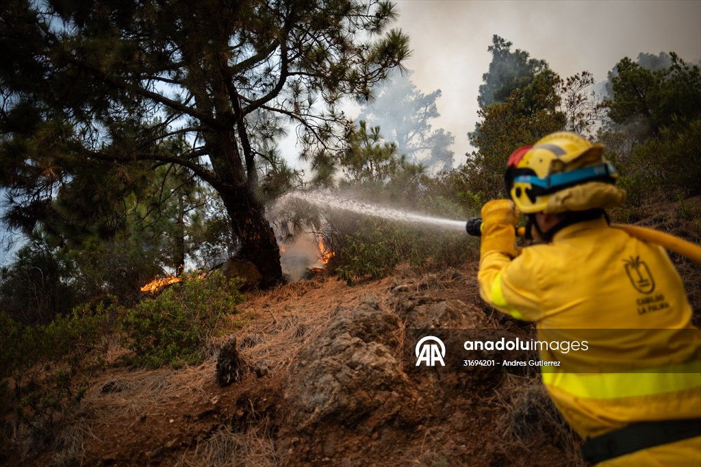 Forest fires in La Palma