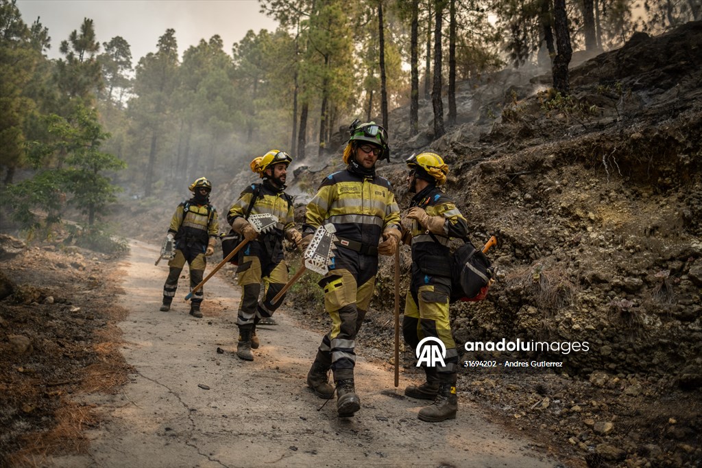 Forest fires in La Palma