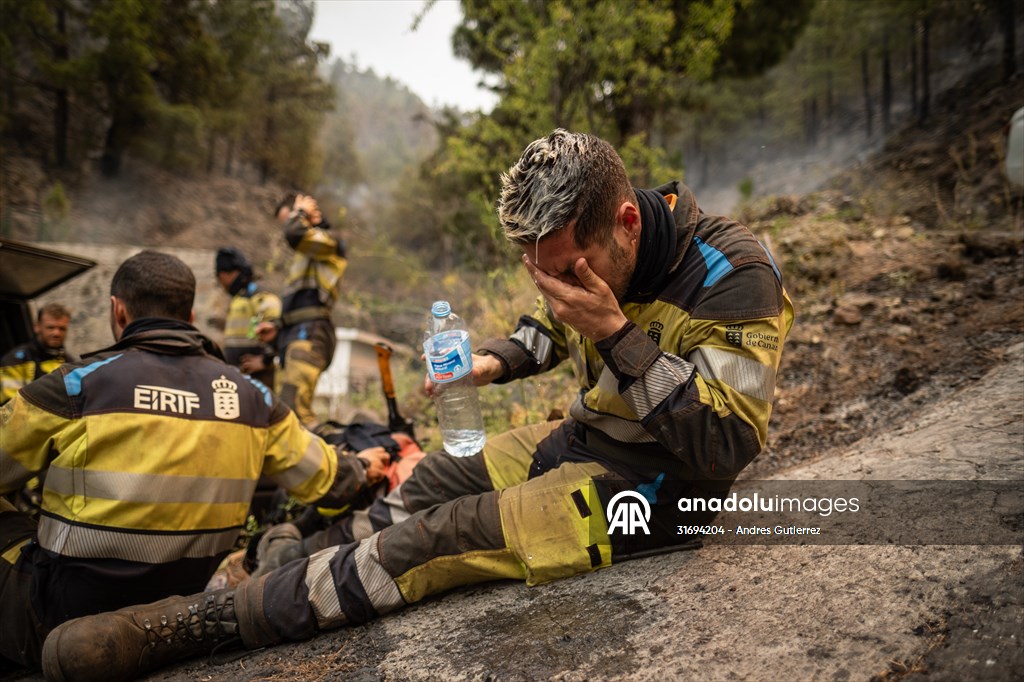 Forest fires in La Palma