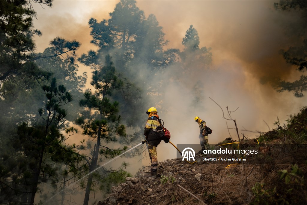 Forest fires in La Palma