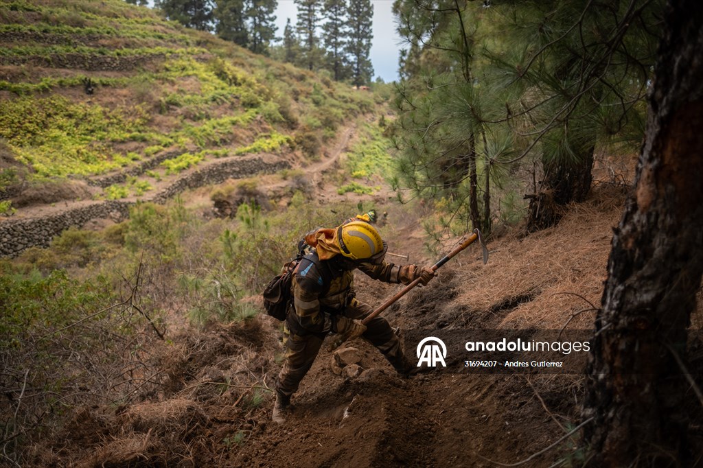 Forest fires in La Palma