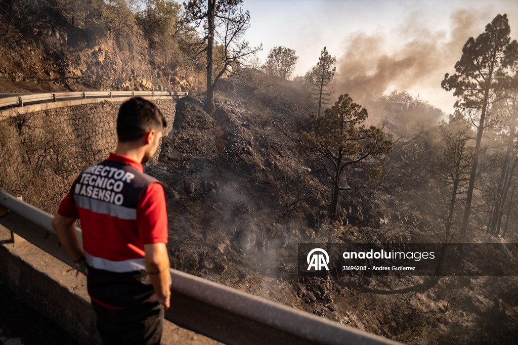 Forest fires in La Palma