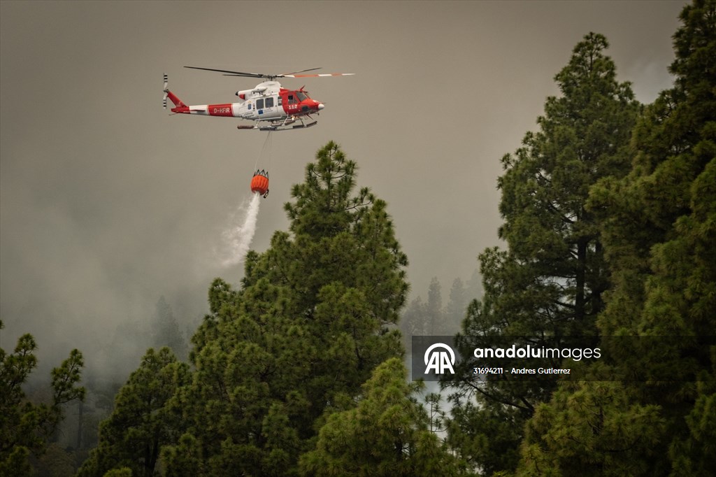 Forest fires in La Palma