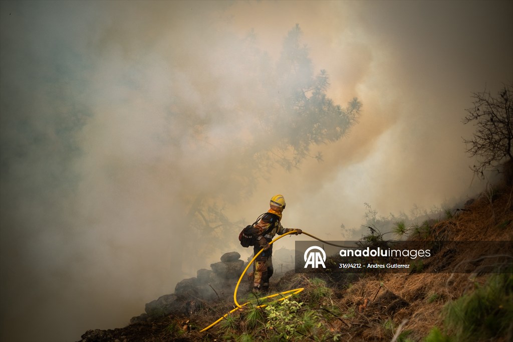 Forest fires in La Palma