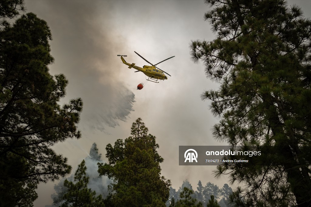 Forest fires in La Palma