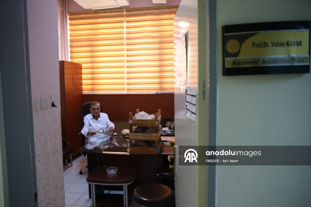 Körtik Tepe'den çıkarılan Orta Çağ dönemine ait kemikler cerrahi çalışmalara ışık tutacak