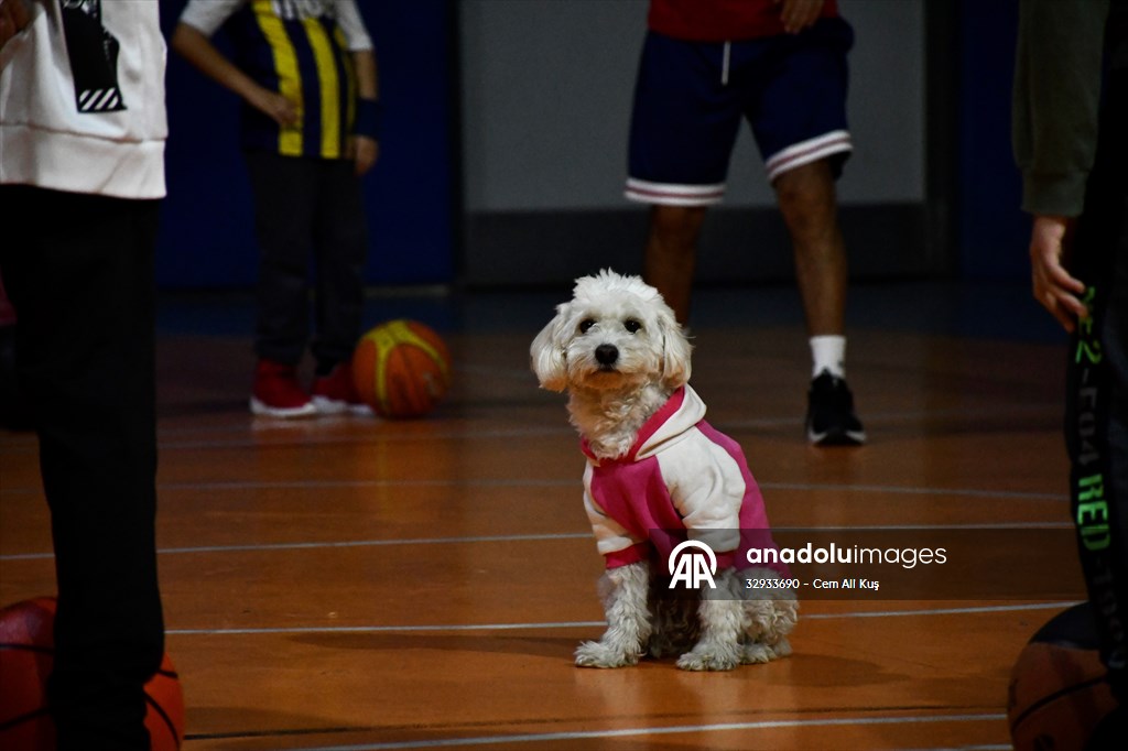 İki aylıkken sahiplenilen köpek 'Mila' gençlik merkezinde 7. yaşına girdi