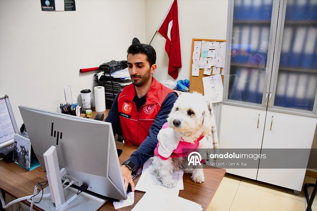 İki aylıkken sahiplenilen köpek 'Mila' gençlik merkezinde 7. yaşına girdi