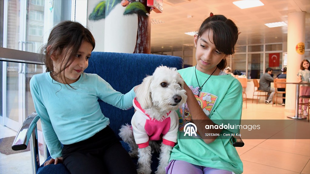 İki aylıkken sahiplenilen köpek 'Mila' gençlik merkezinde 7. yaşına girdi
