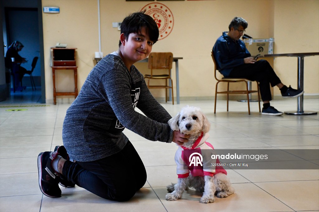 İki aylıkken sahiplenilen köpek 'Mila' gençlik merkezinde 7. yaşına girdi