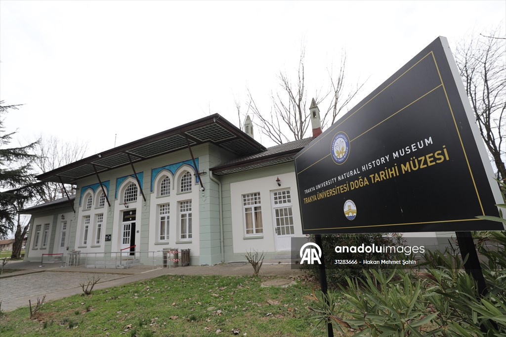 Trakya Üniversitesi Doğa Tarihi Müzesi