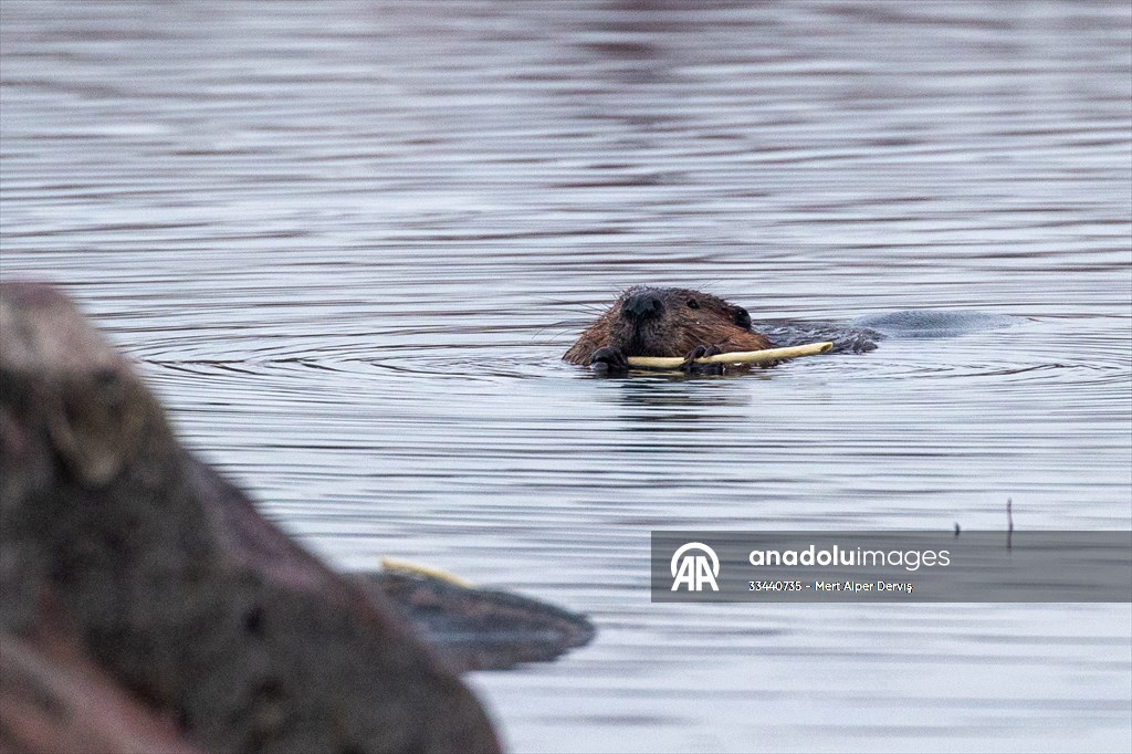 Tommy Thompson Park in Toronto