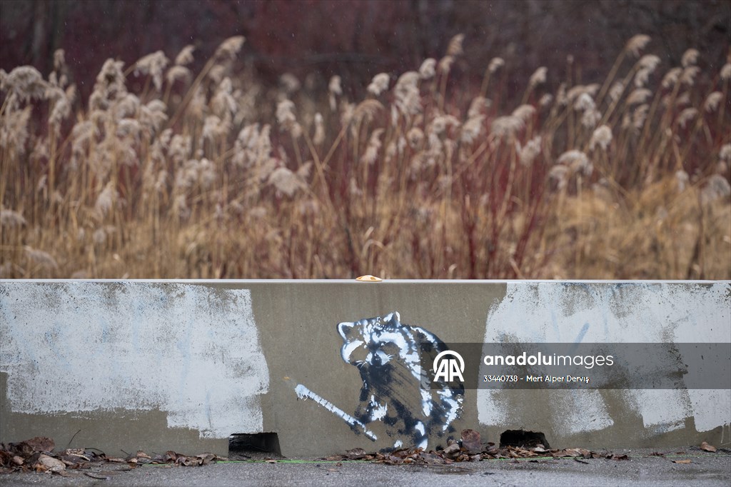 Tommy Thompson Park in Toronto