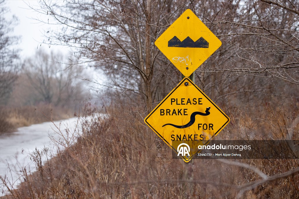 Tommy Thompson Park in Toronto