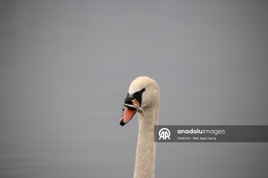 Tommy Thompson Park in Toronto