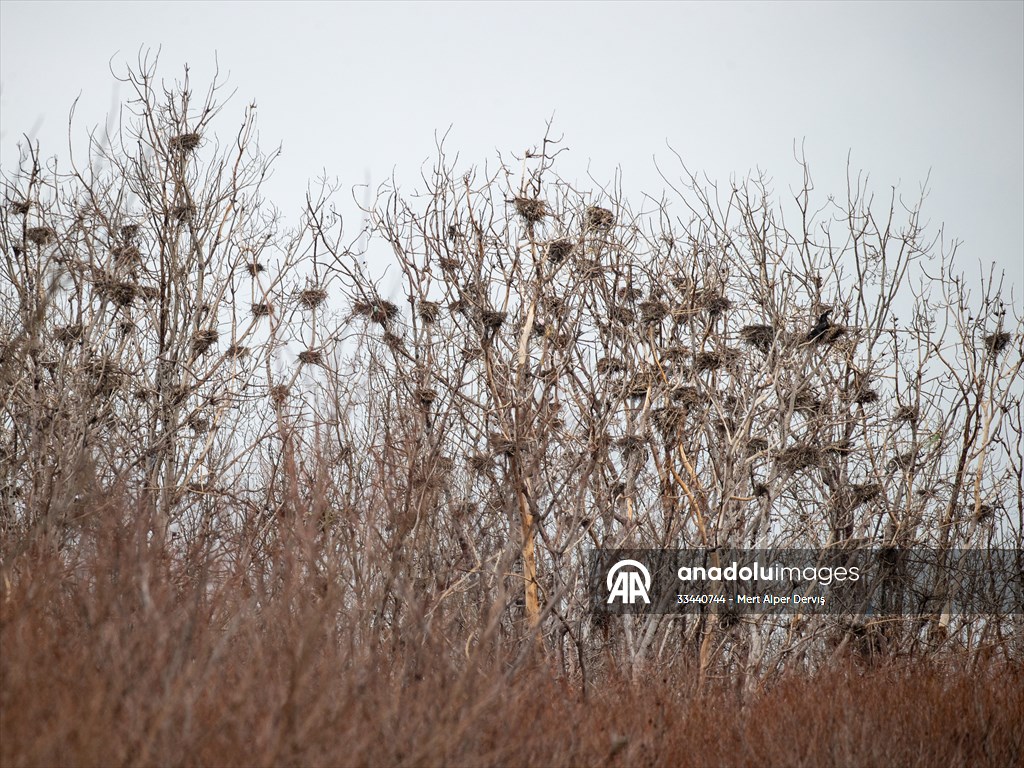 Tommy Thompson Park in Toronto