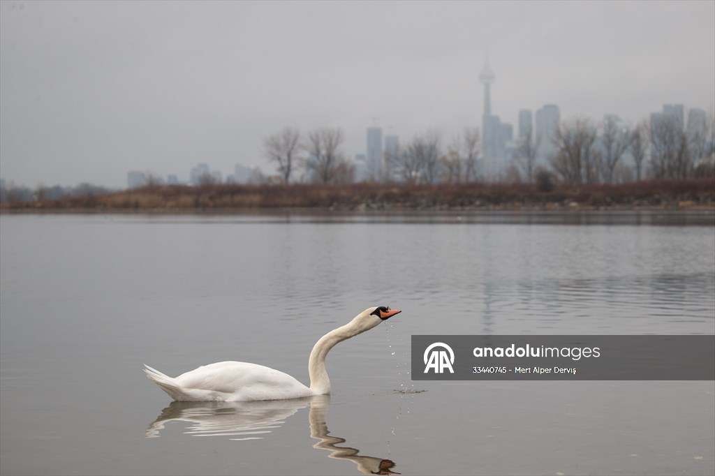 Tommy Thompson Park in Toronto