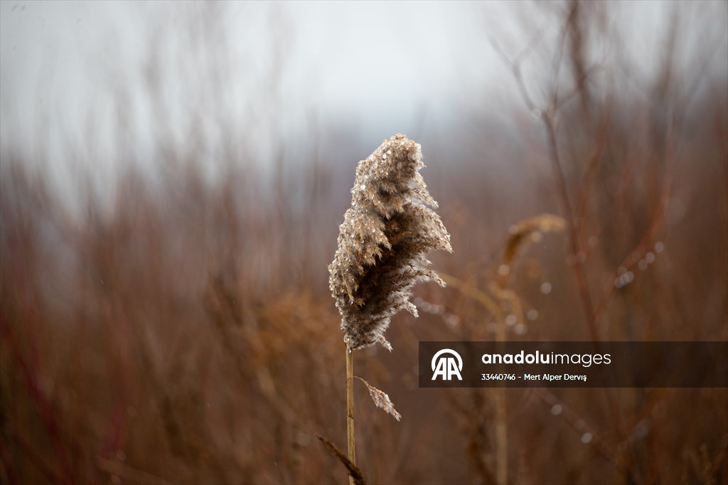 Tommy Thompson Park in Toronto