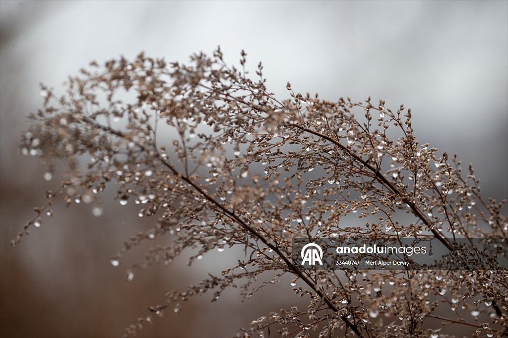 Tommy Thompson Park in Toronto