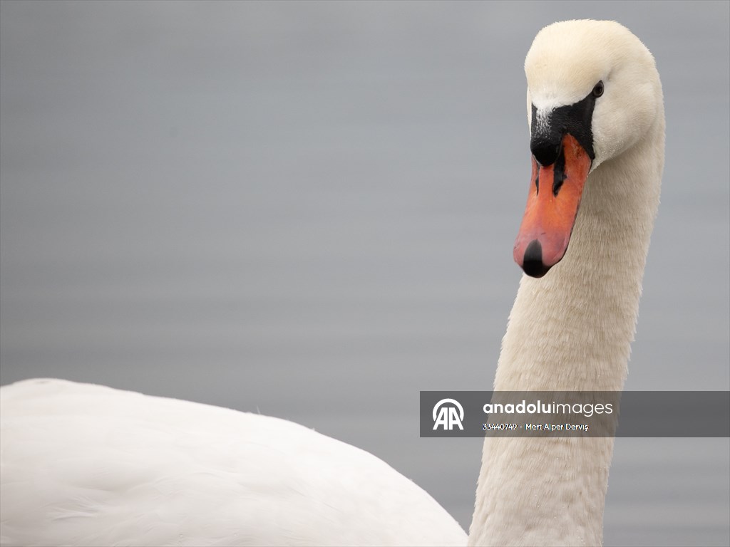 Tommy Thompson Park in Toronto