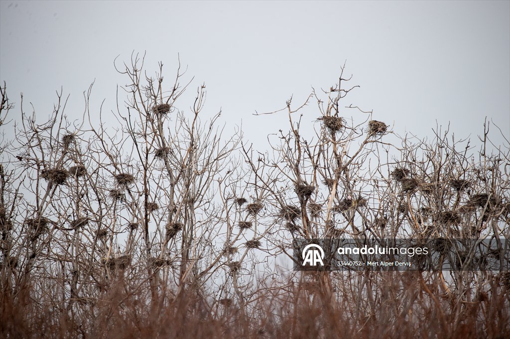 Tommy Thompson Park in Toronto