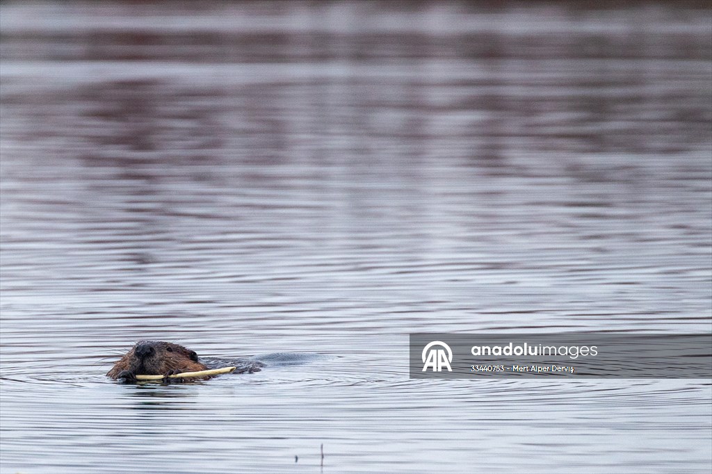 Tommy Thompson Park in Toronto