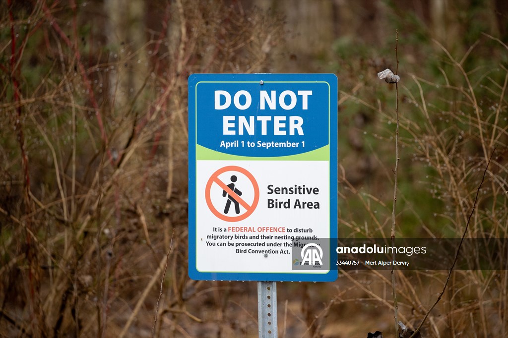 Tommy Thompson Park in Toronto