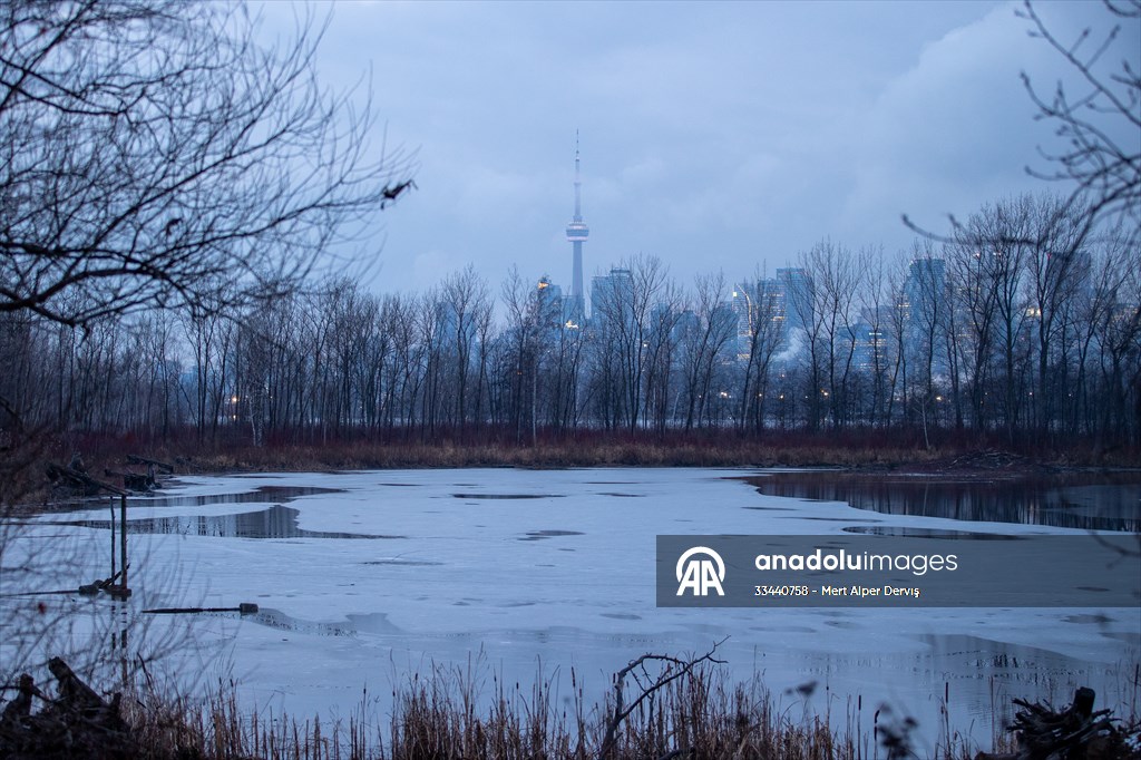 Tommy Thompson Park in Toronto