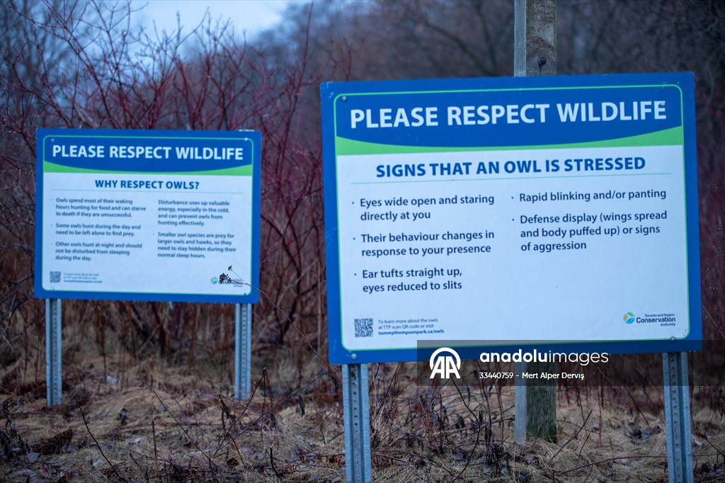Tommy Thompson Park in Toronto