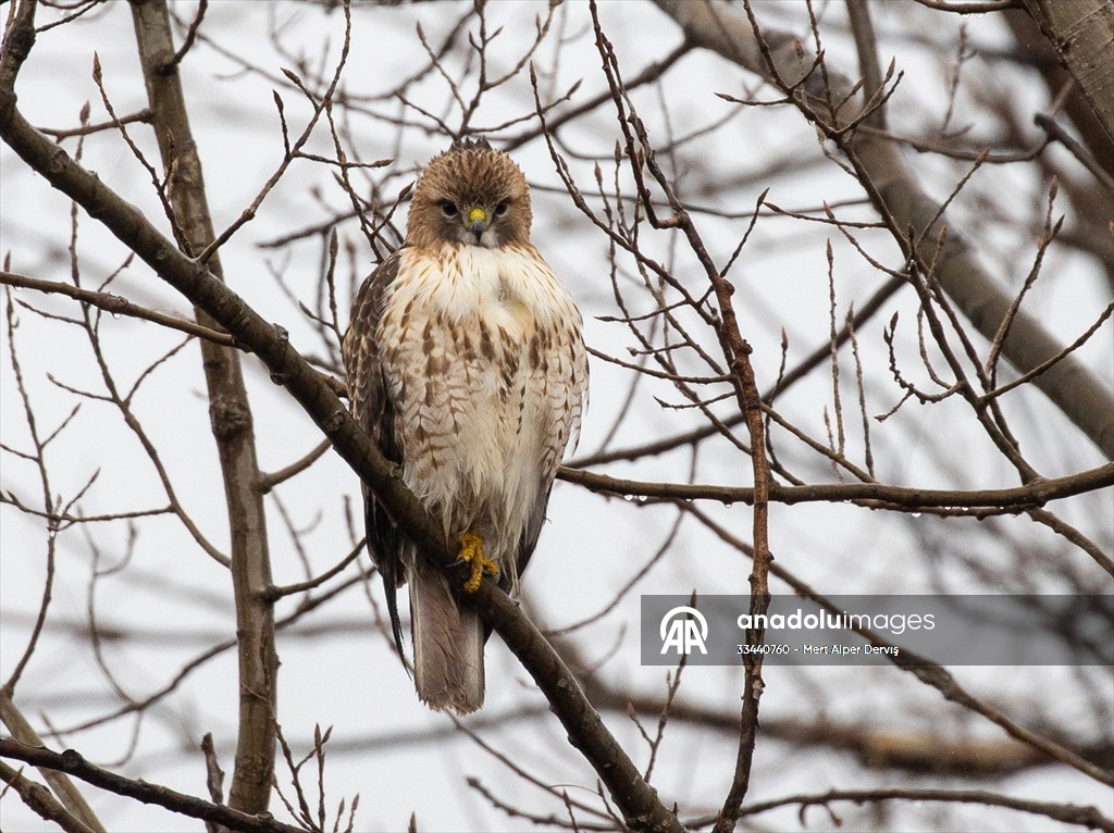 Tommy Thompson Park in Toronto