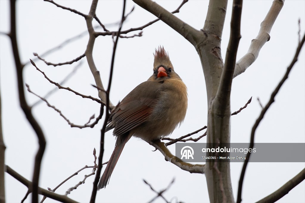 Tommy Thompson Park in Toronto