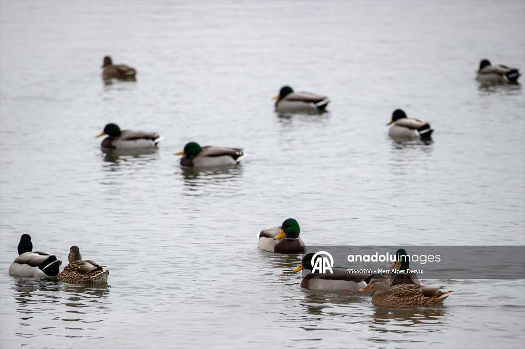 Tommy Thompson Park in Toronto