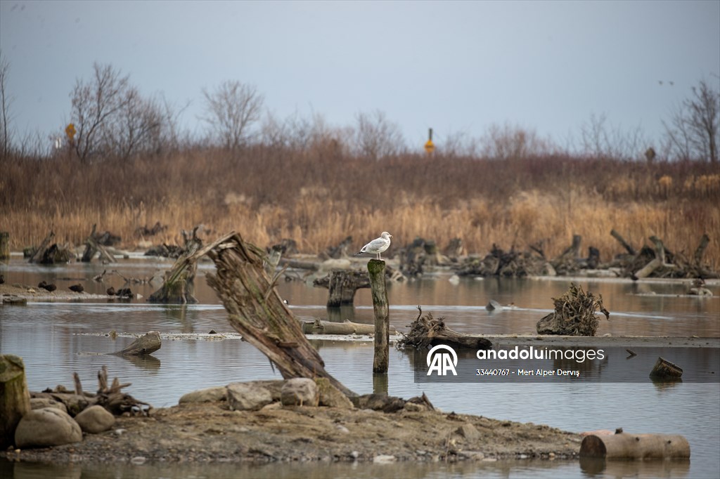Tommy Thompson Park in Toronto
