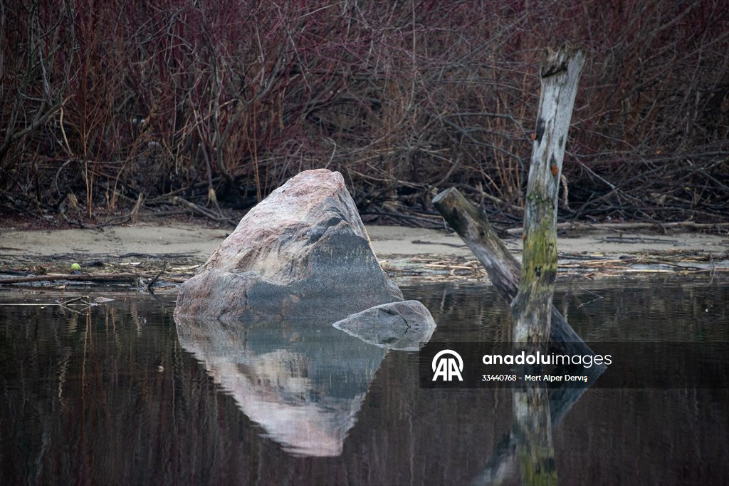 Tommy Thompson Park in Toronto