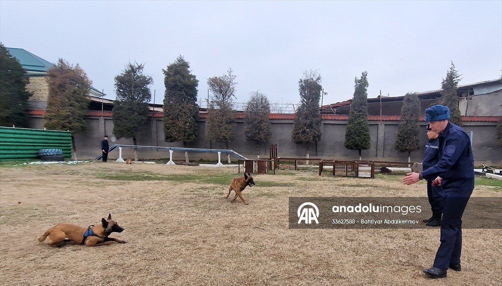 'Asrın felaketi' sonrası bölgede bulunan Özbek kurtarma ekibi, o günleri anlattı