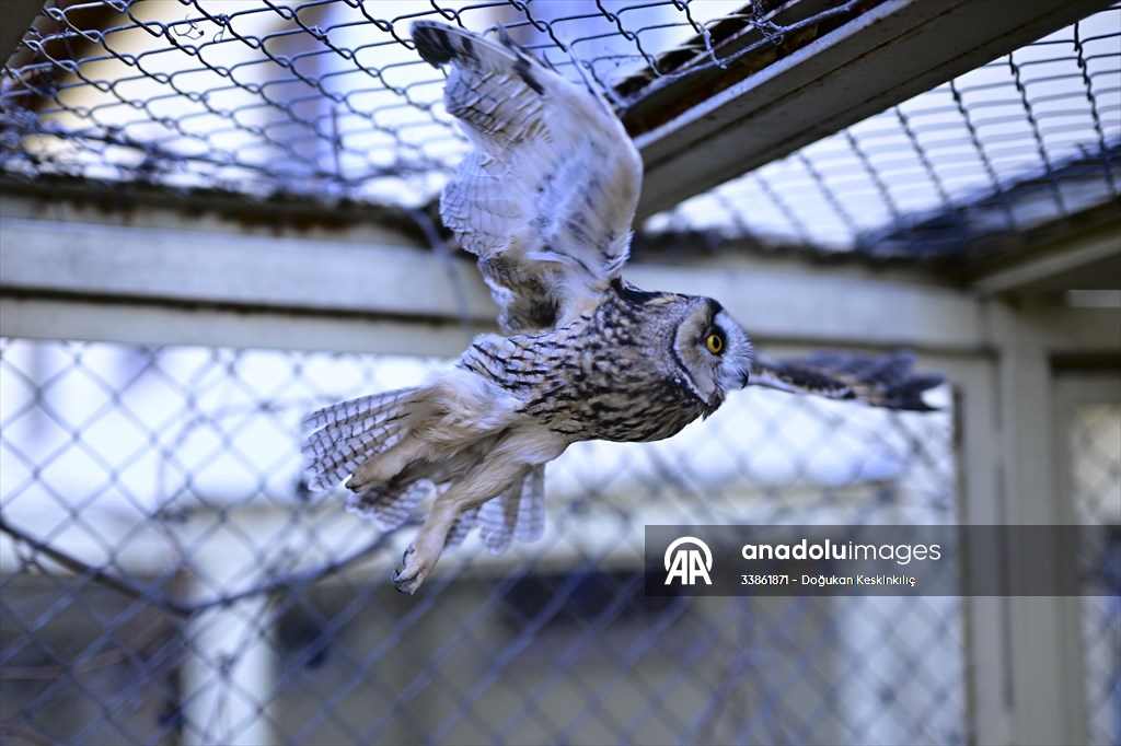 Ankara Üniversitesi Veteriner Fakültesi Hayvan Hastanesi