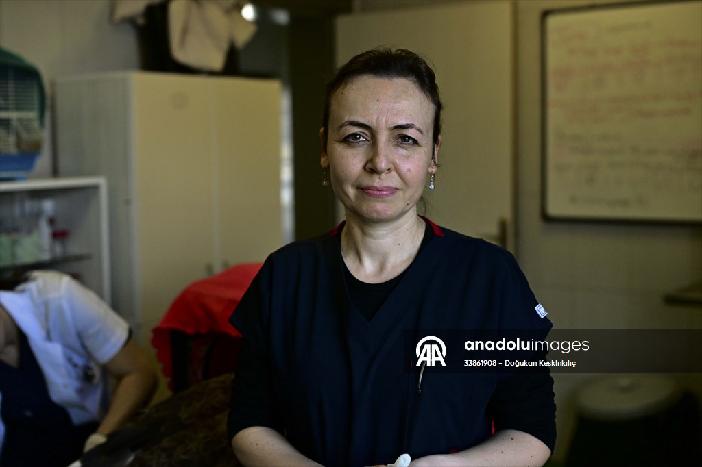 Ankara Üniversitesi Veteriner Fakültesi Hayvan Hastanesi