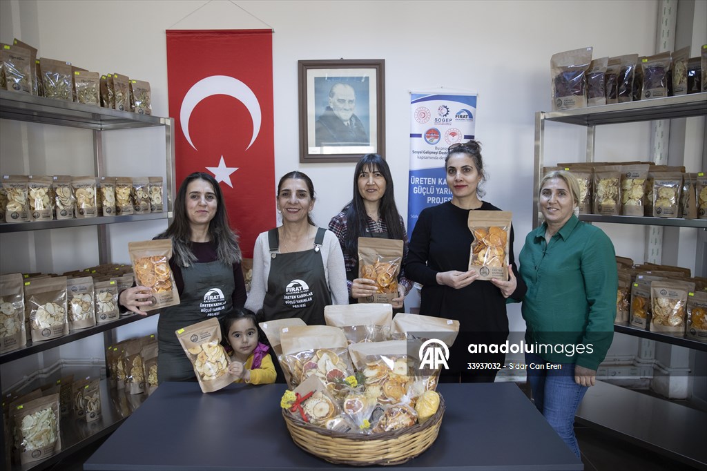 Tunceli'de kurulan meyve sebze kurutma tesisi dar gelirli kadınlara iş kapısı oldu
