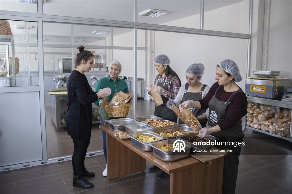 Tunceli'de kurulan meyve sebze kurutma tesisi dar gelirli kadınlara iş kapısı oldu